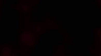 Kansen 3: Shuto Houkai Episode 01